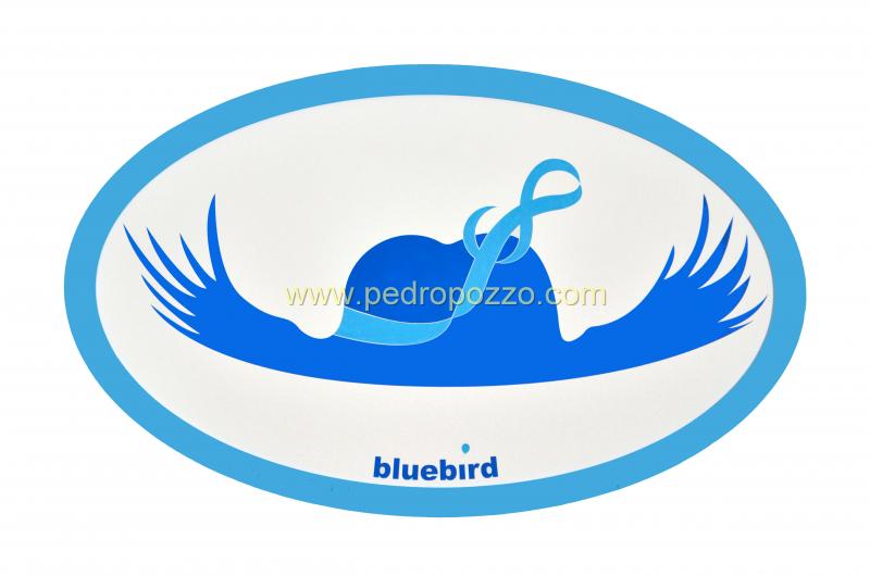 Bluebird / A hat to fly